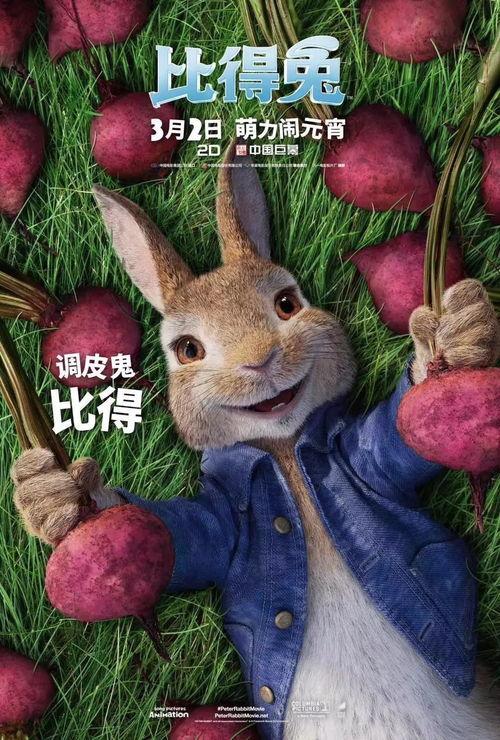 娱乐吃瓜兔子视频大全,盘点热门视频大全  第3张