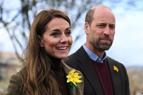 英国王妃爆料视频大全集,揭秘王室生活内幕  第3张
